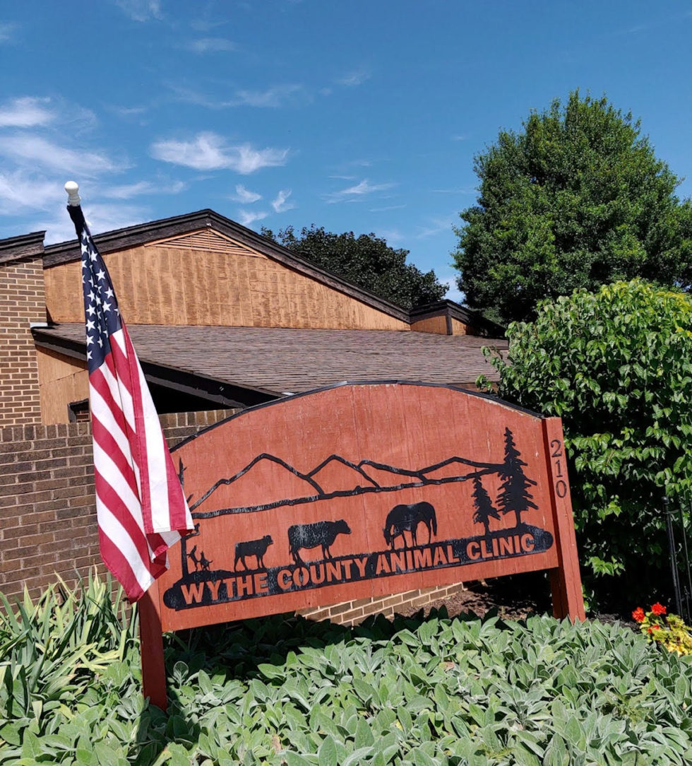 Wythe County Animal Clinic Wytheville, VA Veterinarian